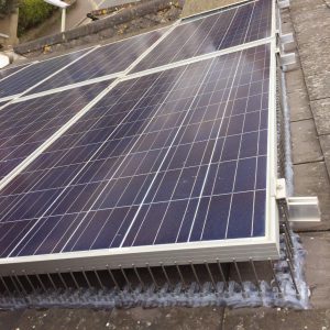 Defender-Solar-Panel-Bird-Spike-001