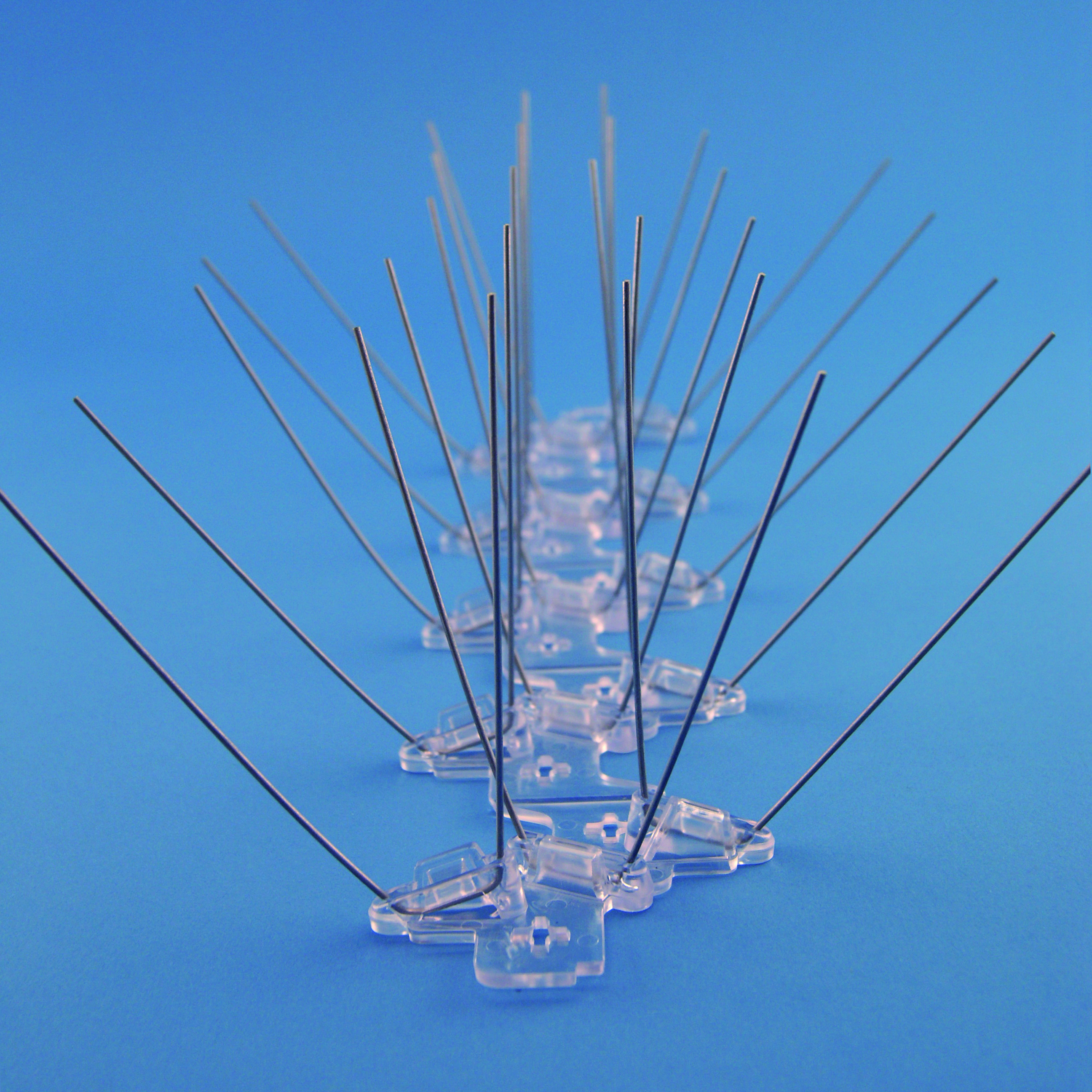 Extra Wide Stainless Steel Bird Spikes