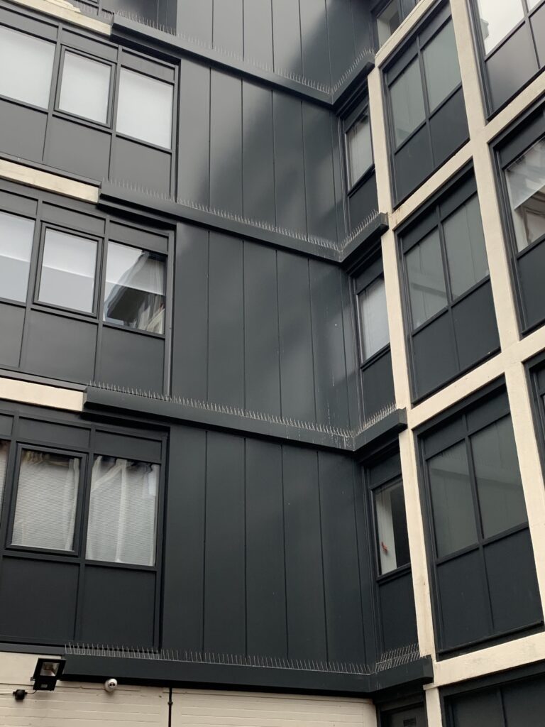Pigeon Proofing in Solihull