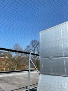 Pigeon proofing to roof in Minehead
