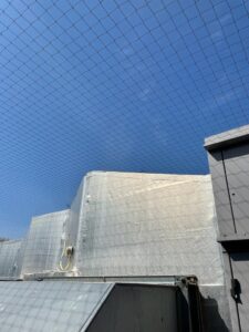 pigeon netting to roof at icelands in Minehead